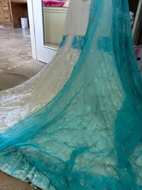 Extremely beautiful Indian Pakistani anarkali kurta and dupatta